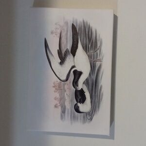 Design painting 12 x 8